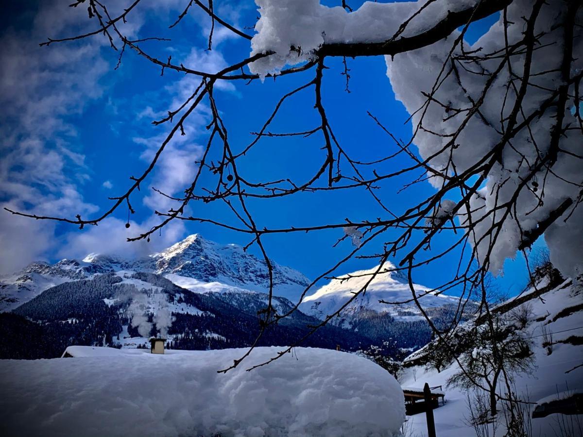 B&B Cuore Verde Poschiavo Exterior foto